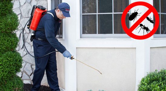 Tavşanlı Fare İlaçlama böcek ilaçlama ve haşere kontrolü — ilaclama-tr.com